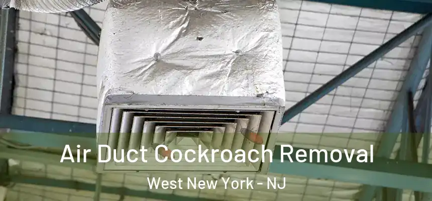  Air Duct Cockroach Removal West New York - NJ