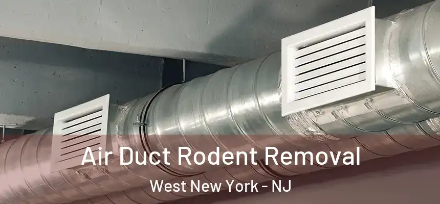 Air Duct Rodent Removal West New York - NJ