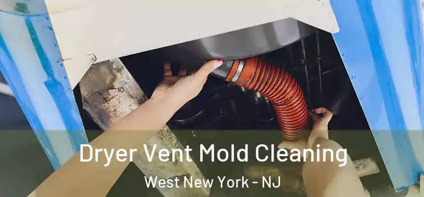  Dryer Vent Mold Cleaning West New York - NJ