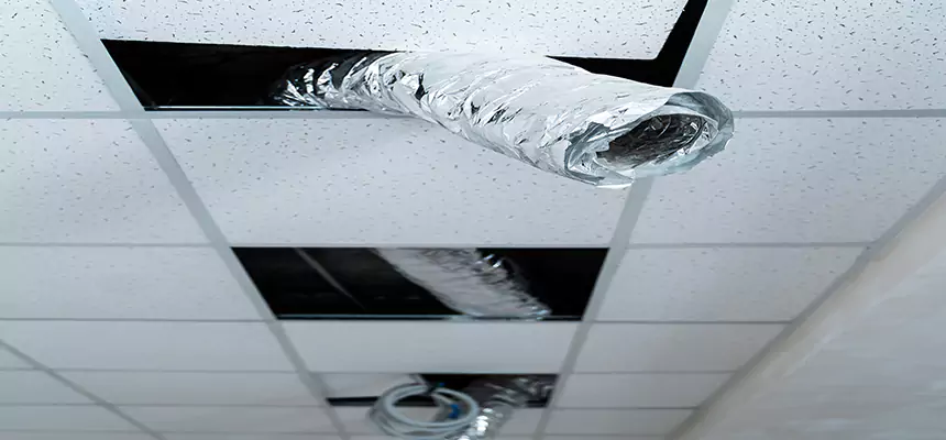 Our Air Duct Pet Hair Removal Services in West New York, NJ