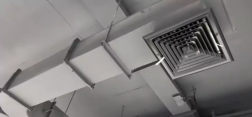 Restorative Allergy Relief Vent Cleaning – Coil, Blower & Housing Detail in West New York