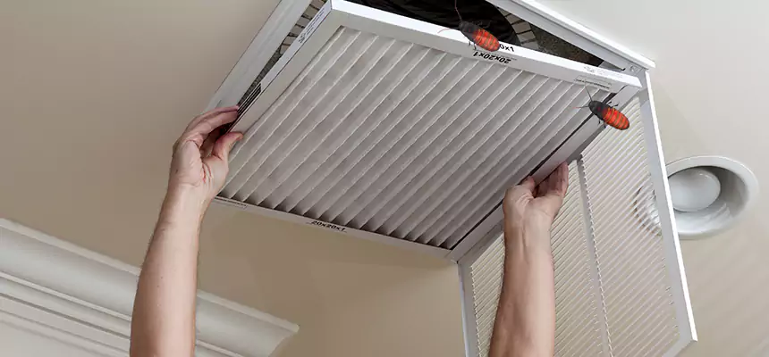 Our Insect Removal from Air Ducts Services in West New York, NJ