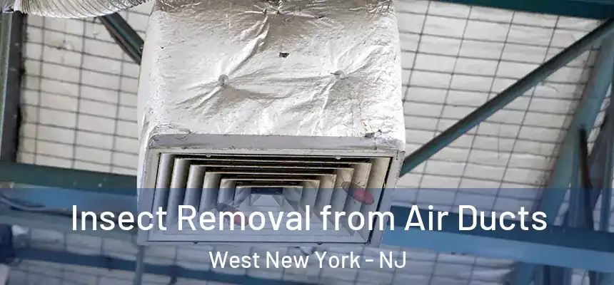 Insect Removal from Air Ducts West New York - NJ