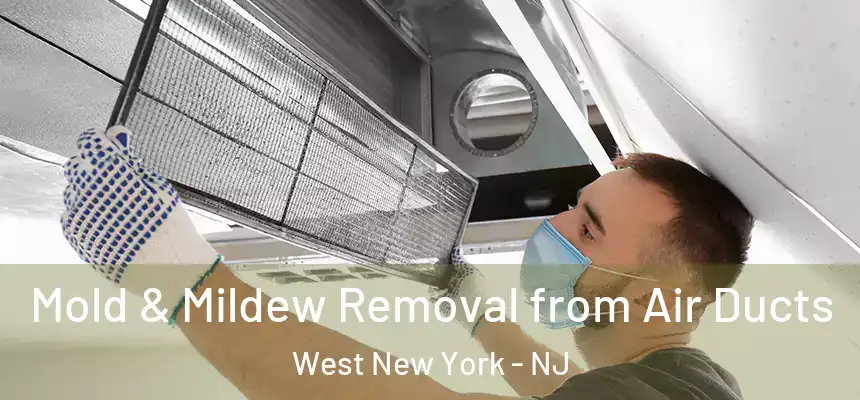 Mold & Mildew Removal from Air Ducts West New York - NJ