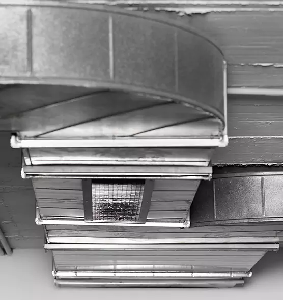 Professional Air Duct Pest Removal in West New York, NJ