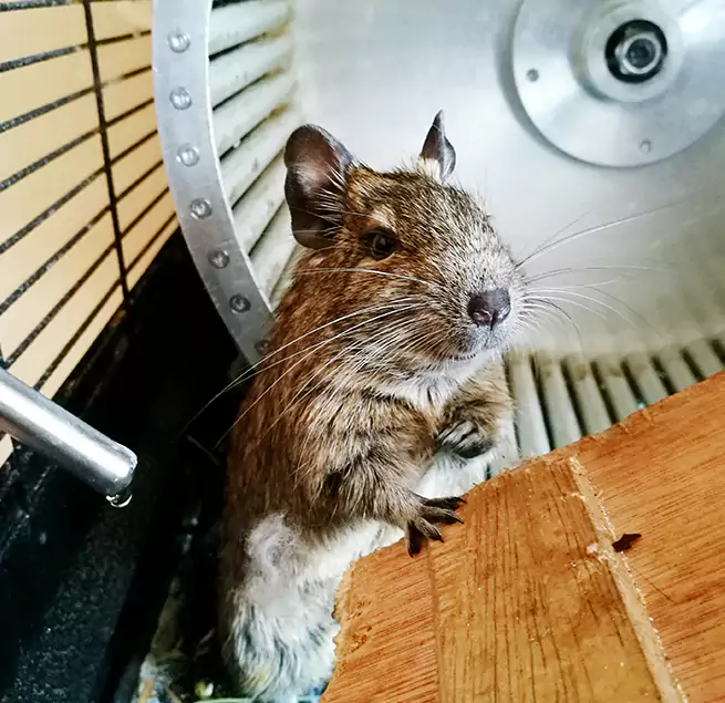 Why Homeowners & Businesses Trust Us West New York, NJ