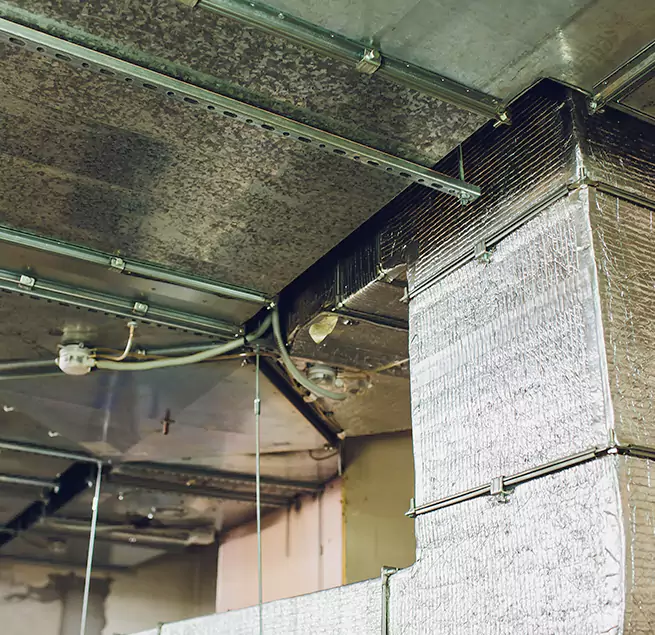 Why Homeowners & Businesses Trust Us in West New York, NJ?